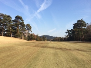 20170220 (1).JPG