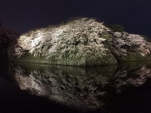 20170411 (4).JPG