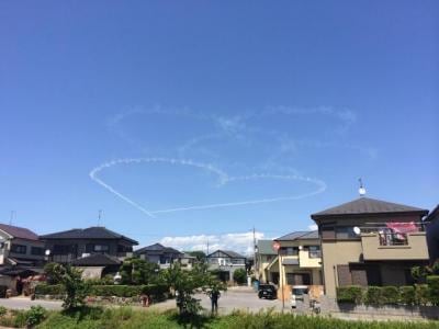 20170605 (1).JPG