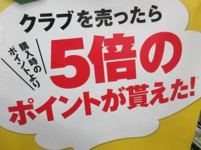 AKI (3).JPG