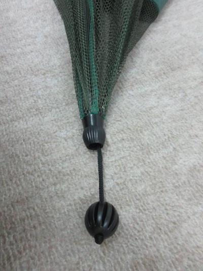 20190130 (1).JPG