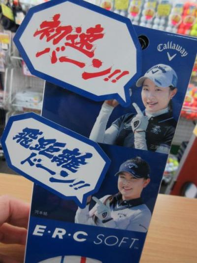 20190331 (1).JPG