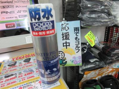 20190722 (1).JPG