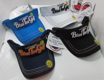 0918VISOR.JPG