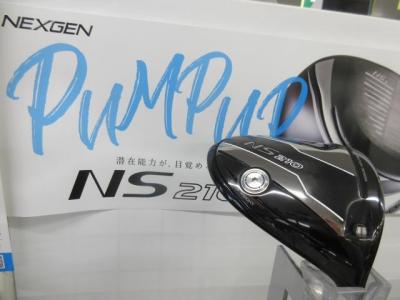 NS210.JPG
