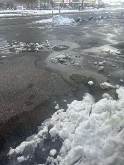 IMG_20260123 (2).JPG