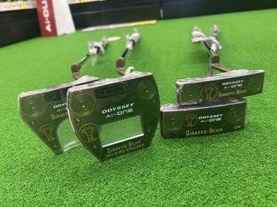 IMG_20260216 (1).JPG