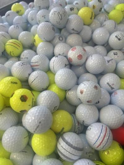 IMG_20260305 (1).JPG