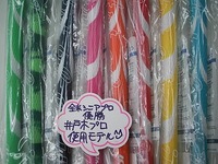 DSCI津田12.JPG