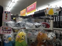 あにか.JPG