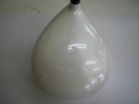 nex2.JPGのサムネール画像