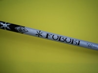 DSCI0002fubukiii.JPG