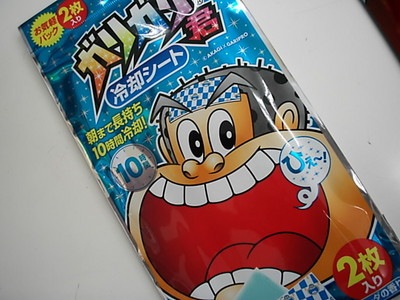 DSCI0004garireikyaku.JPG