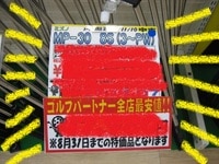 GPNO1.JPG