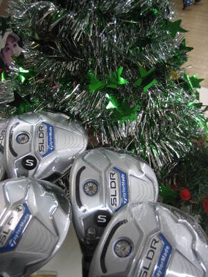 SLDR (1).JPG