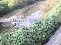 2009090917210000.jpg