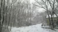 2010011313410000.jpg