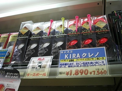DSCI0004キャスコ.JPG