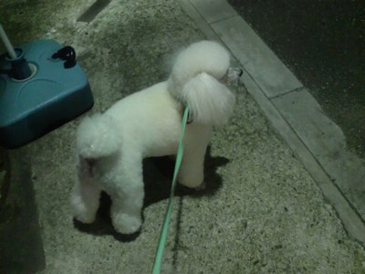 2009060220420001.jpg