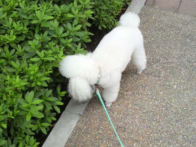 2009062513480000.jpg