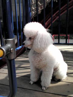 20110410135158.jpg