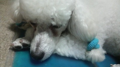 2011082319580001.jpg