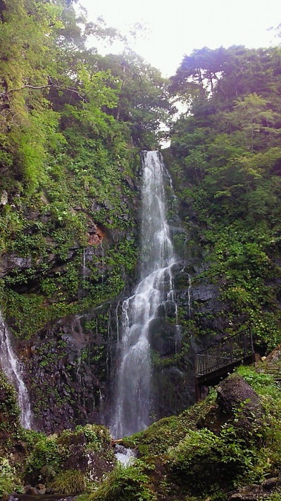 NEC_0442.jpg