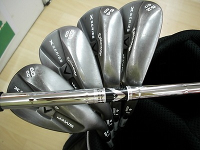 DSCI0キャ002.JPG