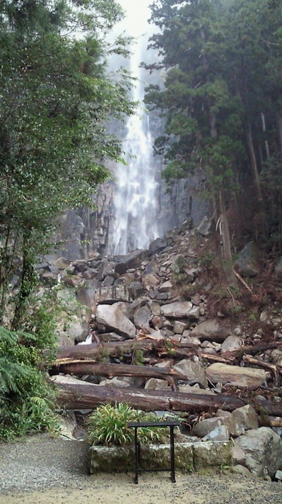 NEC_0565.jpg