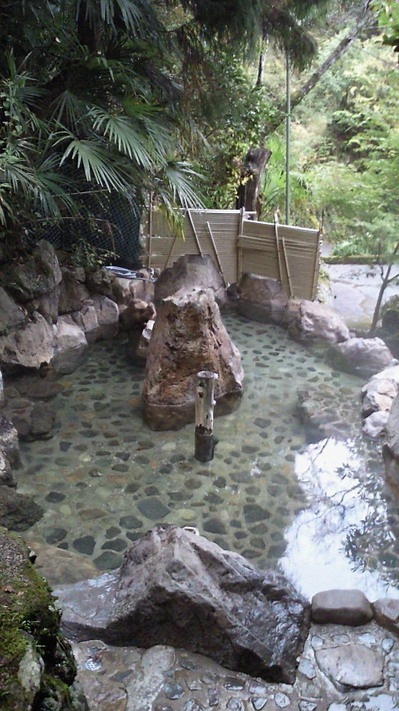 NEC_0579.jpg