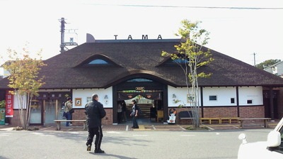 NEC_0590.jpg