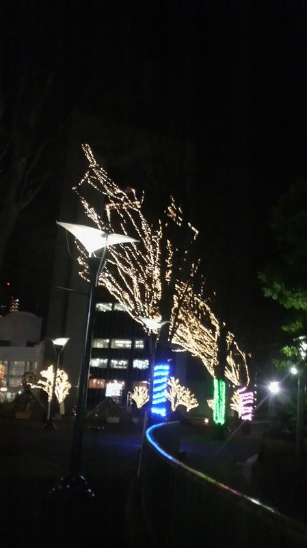 2011011417550000.jpg