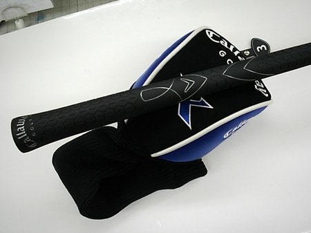 68DSCI0003.JPG