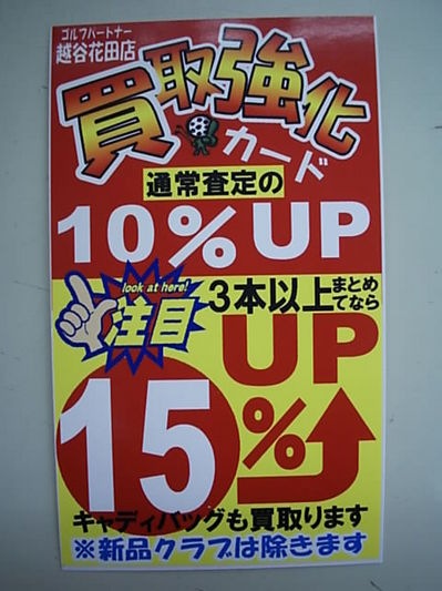 DS55555CI0001 (1).JPG