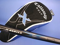 DSCI00calla07 (3).JPG