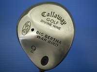DSCI00calla07 (5).JPG