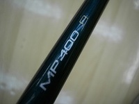 DSCI00hidare01 (3).JPG