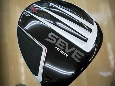DSCI0sebee003 (1).JPG