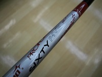 DSCI0sebee003.JPG