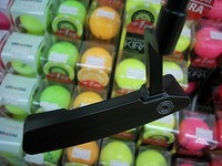 DSCI0purooo001 (2).JPG