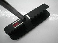 DSCI00pein06 (4).JPG