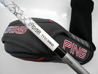 DSCI000PIngg5 (4).JPG