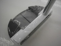 DSCI000branndhi1 (2).JPG