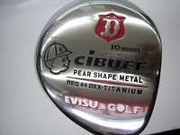 DSCI00sibaf07 (1).JPG