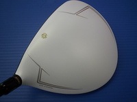 DSCIsiroiyoo0009 (5).JPG