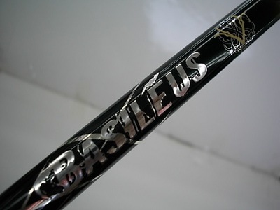 DSCI00reaaa07 (2).JPG