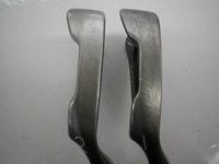 D1113SCI0001 (1).JPG