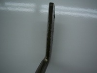 DSsugeCI0004 (3).JPG