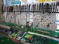 tasuketeDSCI0006 (3).JPG