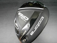 2015420DSCI0006 (1).JPG